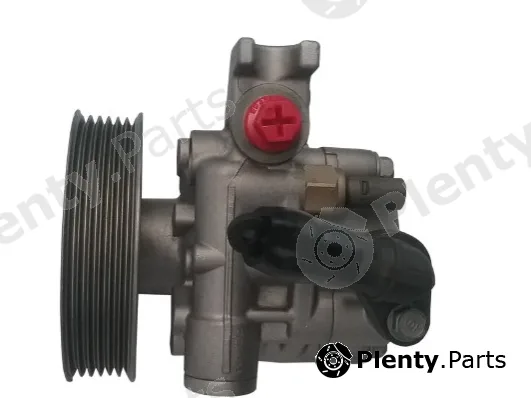Spidan GKNY10103 — Hydraulic Pump, steering