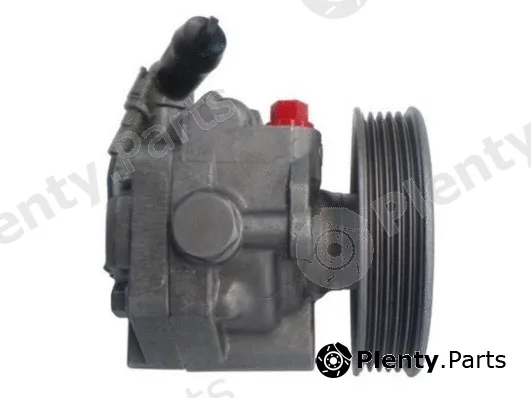 Spidan 54699 — Hydraulic Pump, steering