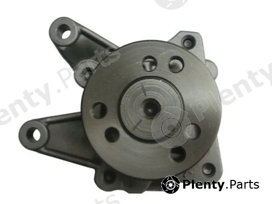 Spidan 54126 — Hydraulic Pump, steering