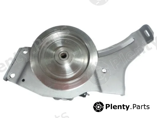 Spidan 53981 — Hydraulic Pump, steering