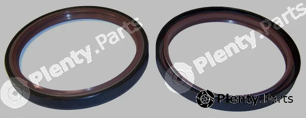 Elring 298.247 — Shaft Seal, crankshaft