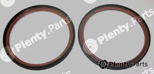 Elring 294.060 — Shaft Seal, crankshaft