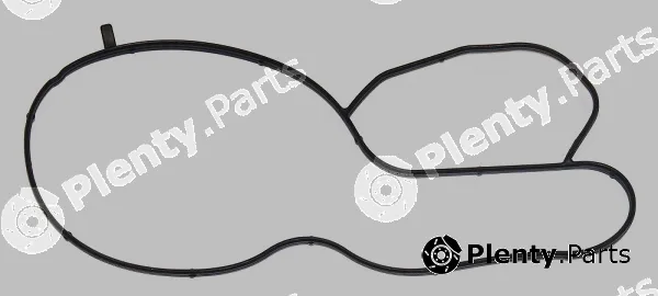 Elring 249.160 — Gasket, water pump