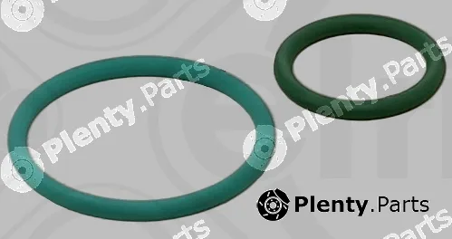 Elring 455.290 — Seal Kit, injector pump