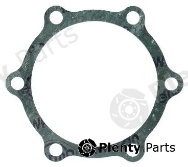 Elring 827.096 — Gasket, water pump