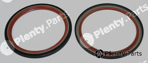 Elring 509.930 — Shaft Seal, crankshaft