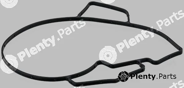 Elring 704.880 — Gasket, water pump