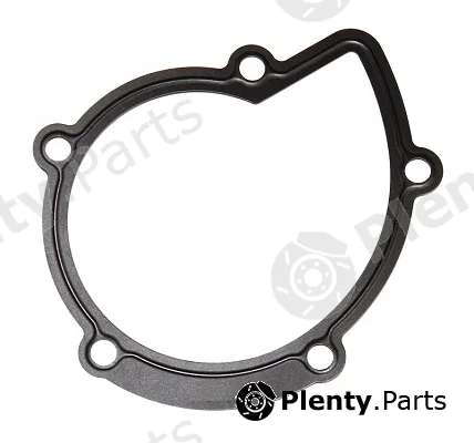 Elring 394.280 — Gasket, water pump
