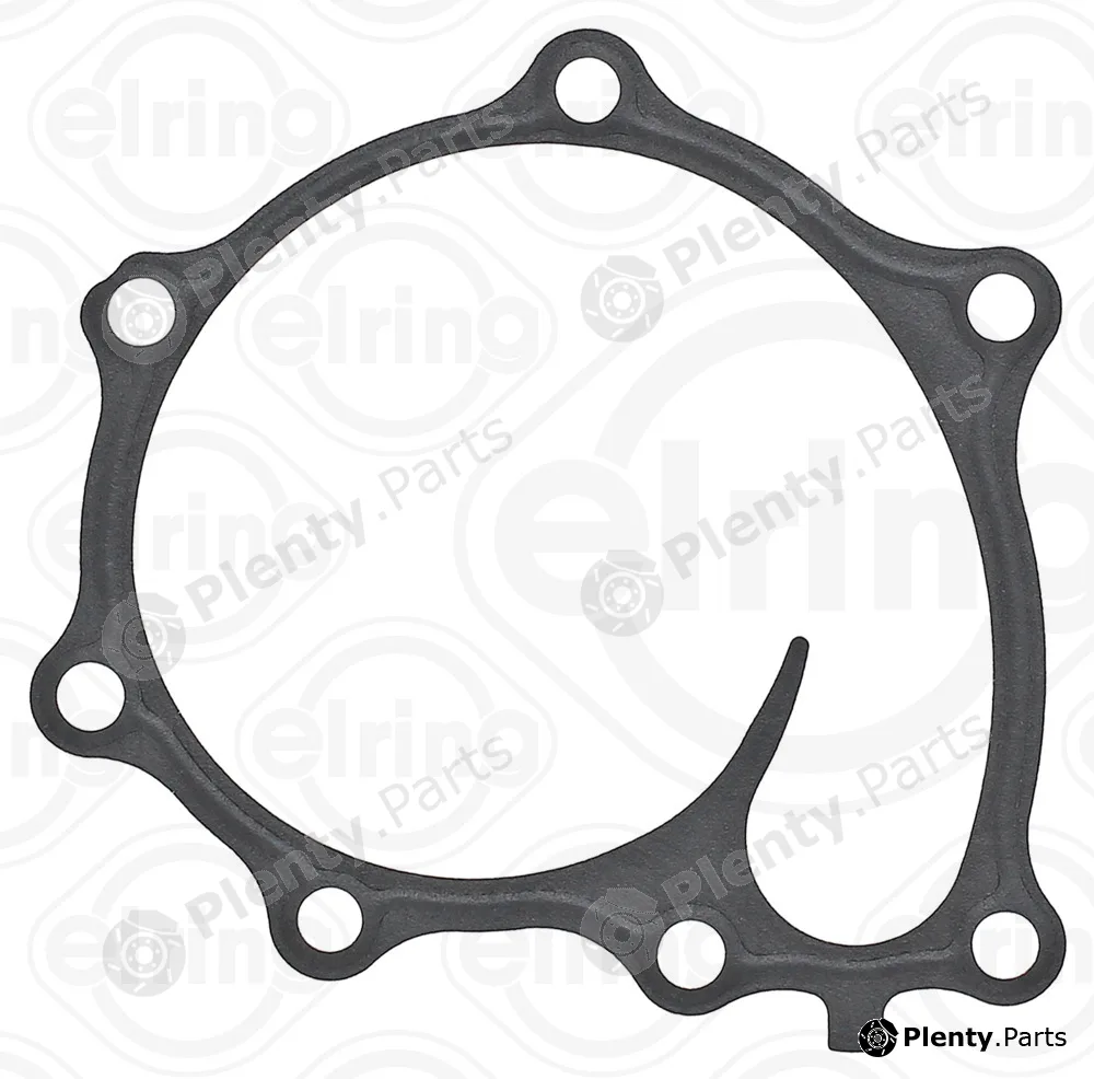 Elring 925.200 — Gasket, water pump