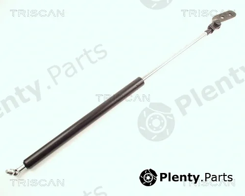 Triscan 871018207 — Gas Spring, boot/cargo area