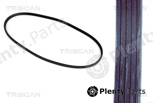 Triscan 8640500913 — V-Ribbed Belt