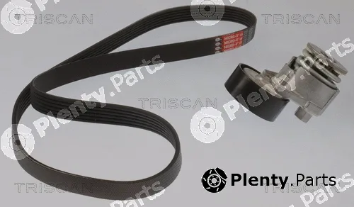 Triscan 864210030 — V-Ribbed Belt Set