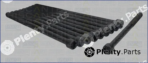 Triscan 98-2520 — Cylinder Head Bolt Set