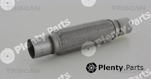 Triscan 700010017 — Flexible Pipe, exhaust system