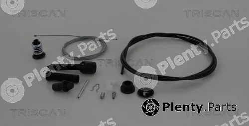 Triscan 814025313 — Accelerator Cable