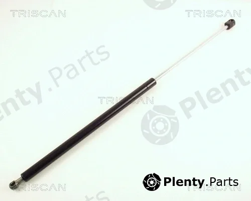 Triscan 871017203 — Gas Spring, boot/cargo area