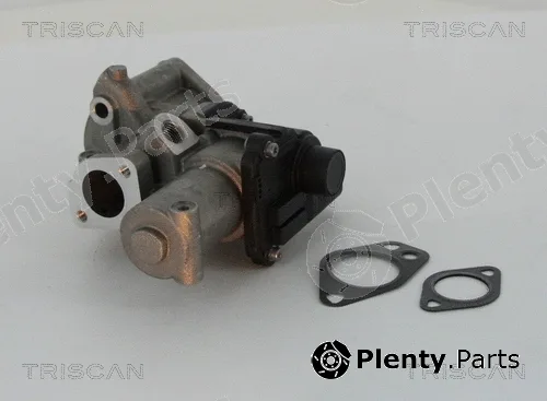 Triscan 881329312 — EGR Valve
