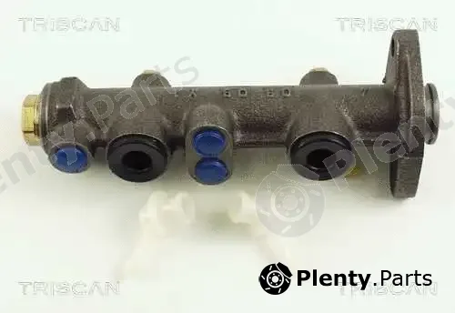 Triscan 813010101 — Brake Master Cylinder
