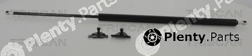 Triscan 871042233 — Gas Spring, boot/cargo area