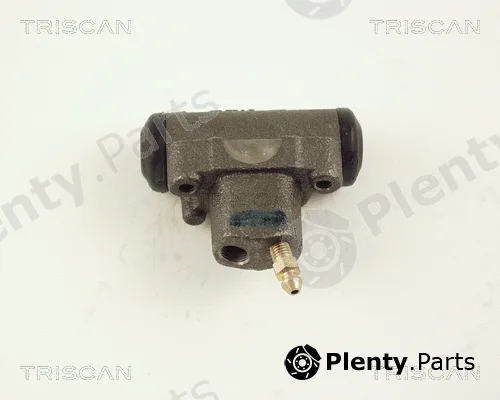 Triscan 813050024 — Wheel Brake Cylinder