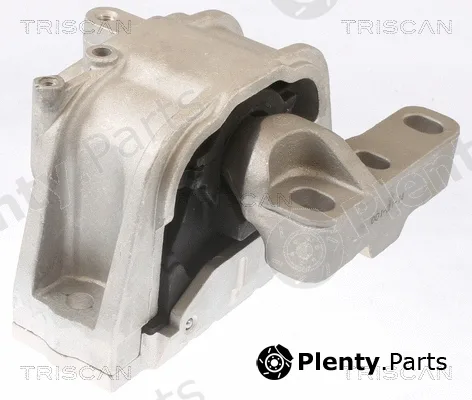 Triscan 850529124 — Mounting, engine