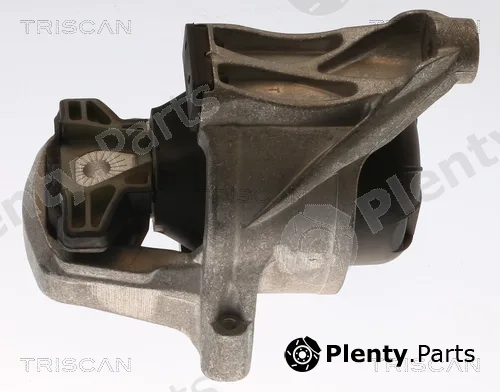 Triscan 850529168 — Mounting, engine