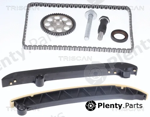 Triscan 865029024 — Timing Chain Kit