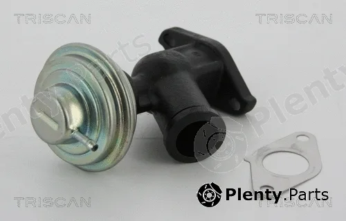 Triscan 881310011 — EGR Valve