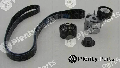 Triscan 864210004 — V-Ribbed Belt Set