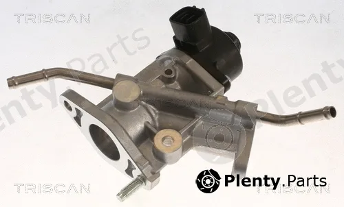 Triscan 881313068 — EGR Valve