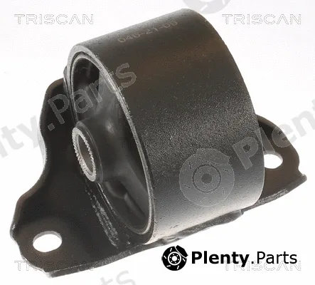 Triscan 850543106 — Mounting, engine