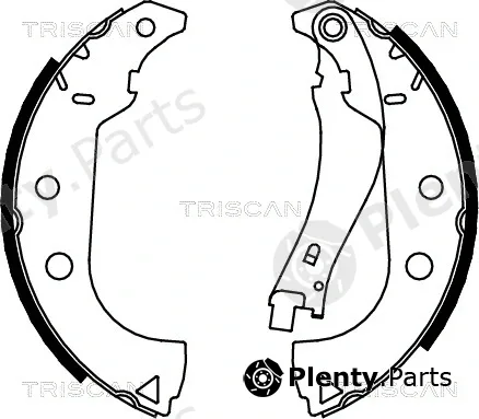Triscan 810015020 — Brake Shoe Set