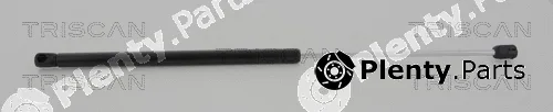 Triscan 871025259 — Gas Spring, boot/cargo area
