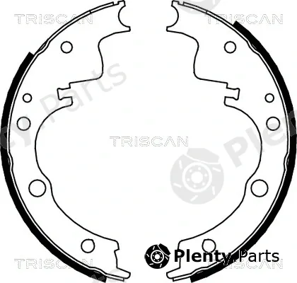 Triscan 810010014 — Brake Shoe Set