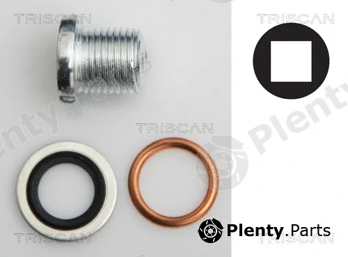 Triscan 95001003 — Screw Plug, oil sump