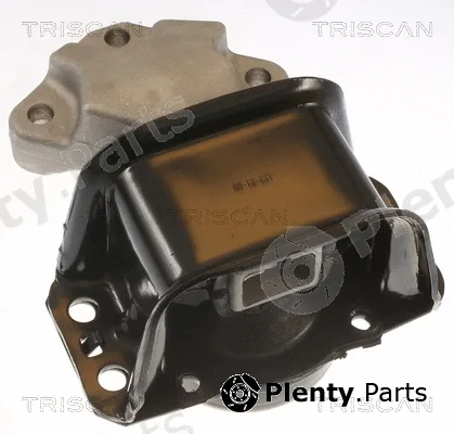 Triscan 850528100 — Mounting, engine