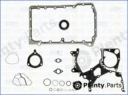 Triscan 595-1763 — Gasket Kit, crankcase
