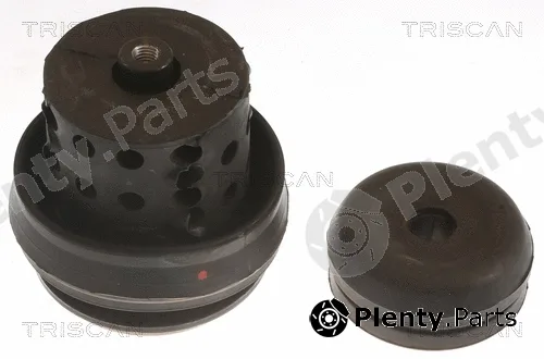 Triscan 850529118 — Mounting, engine