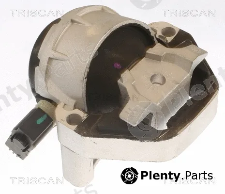 Triscan 850529170 — Mounting, engine
