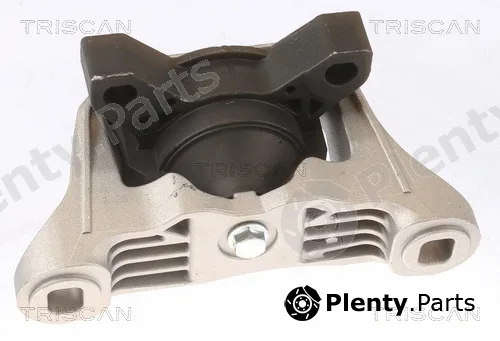 Triscan 850516101 — Mounting, engine