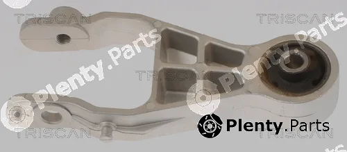 Triscan 850524104 — Mounting, engine