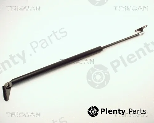 Triscan 871013244 — Gas Spring, boot/cargo area