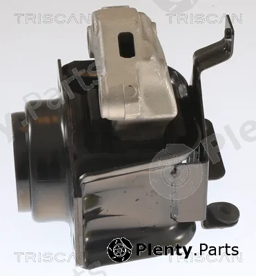 Triscan 850528109 — Mounting, engine