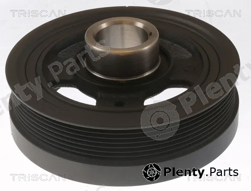 Triscan 864313002 — Belt Pulley, crankshaft