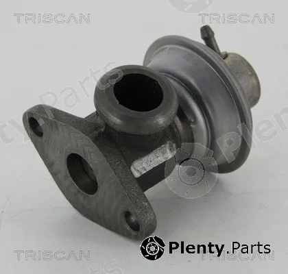Triscan 881325011 — EGR Valve