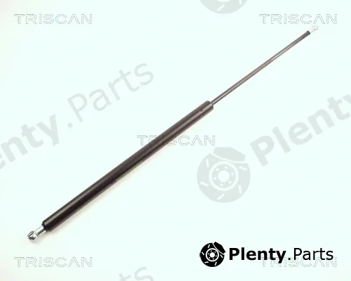 Triscan 871016215 — Gas Spring, boot/cargo area