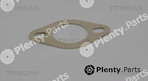 Triscan 8621103 — Seal, thermostat