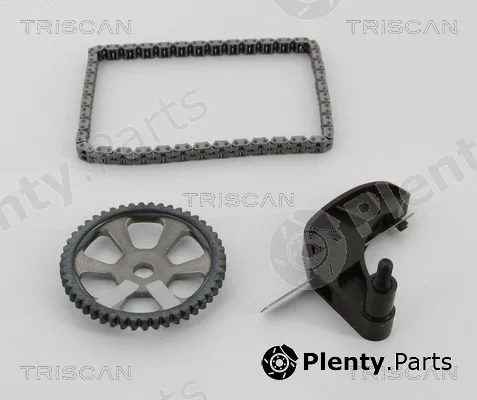 Triscan 865029013 — Timing Chain Kit