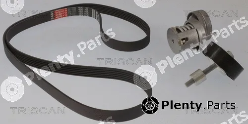 Triscan 864229048 — V-Ribbed Belt Set