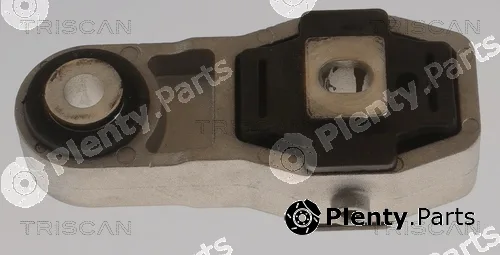 Triscan 850565102 — Mounting, engine